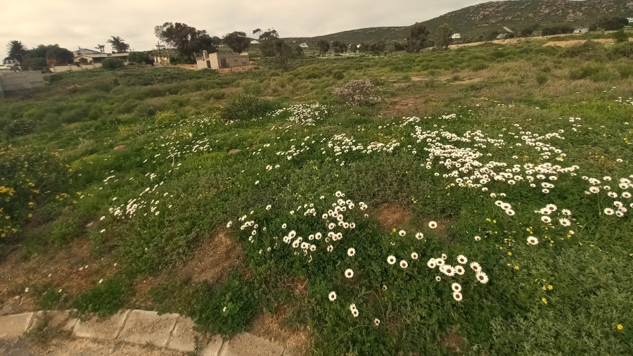 0 Bedroom Property for Sale in St Helena Views Western Cape